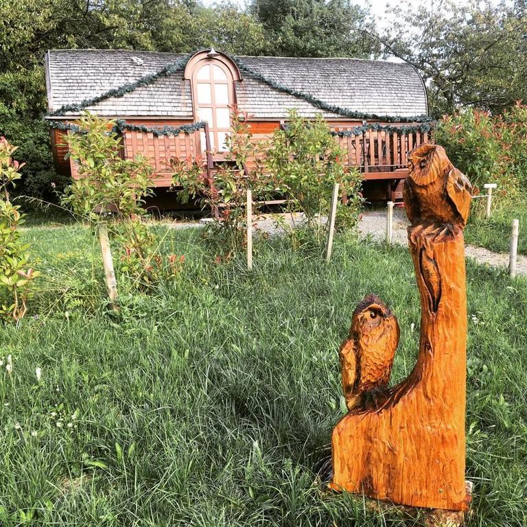 Le Chalet du Chemin et sa Roulotte Berviller-en-Moselle Extérieur photo