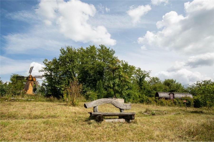 Le Chalet du Chemin et sa Roulotte Berviller-en-Moselle Extérieur photo