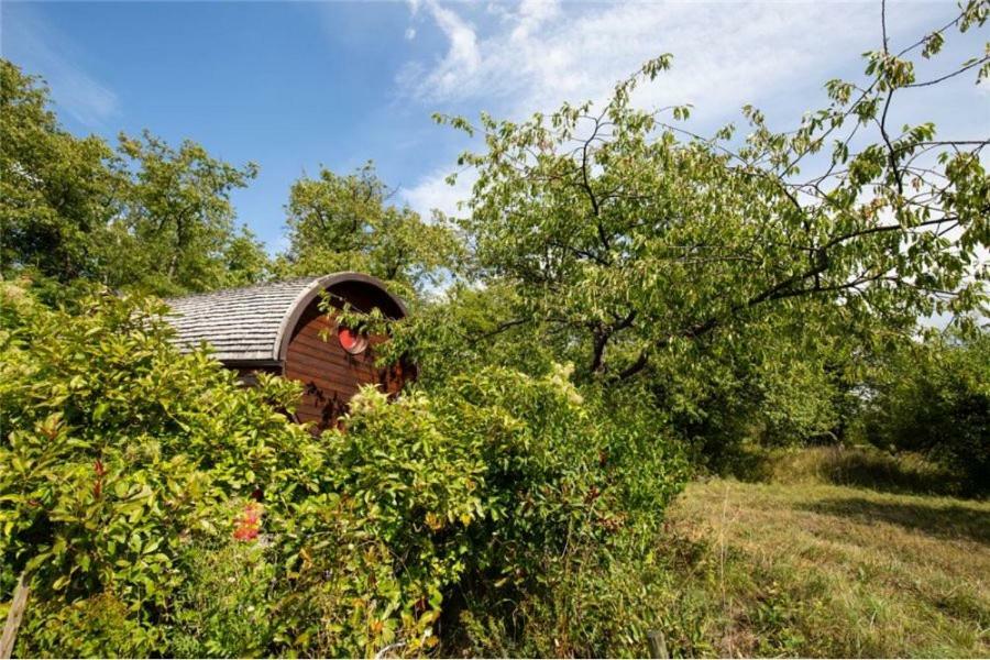 Le Chalet du Chemin et sa Roulotte Berviller-en-Moselle Extérieur photo